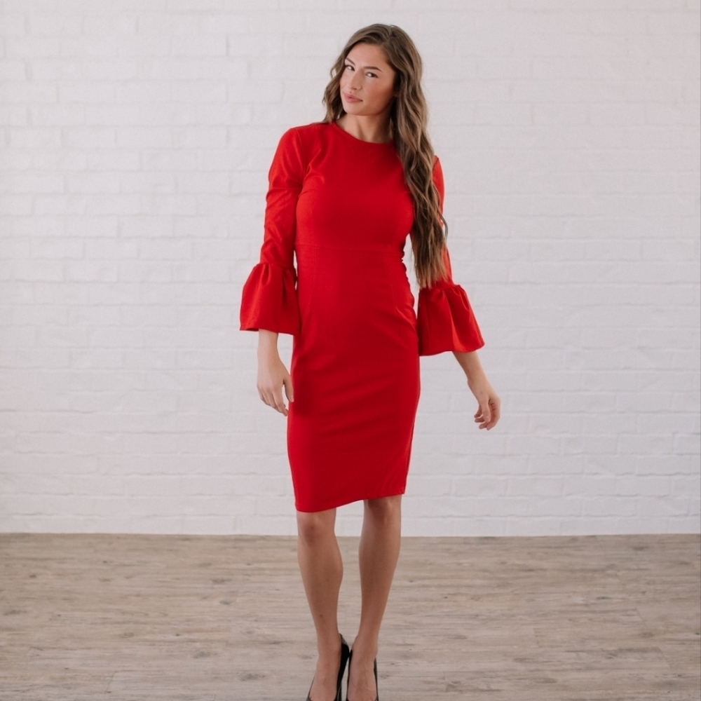 Jacey lane bell sleeve zipper back Dress